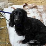 617226198 1284916013666210 3492942521889060893 n