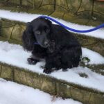 617276115 1284916163666195 2148161363486013670 n