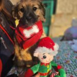 617505116 1283078010516677 6501979977887007053 n