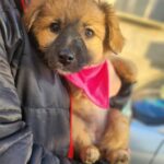 617890648 1280877637403381 6634455413501014556 n