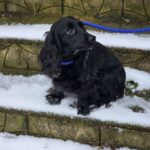 617988038 1284916213666190 1331094414491020740 n