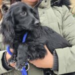 618119202 1284916126999532 7384083134758687456 n