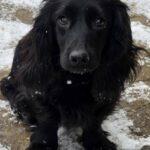 618744451 1284916346999510 891728434628218197 n