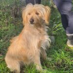 618794845 1285563160268162 2611930998888307694 n