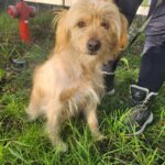 618950468 1285563080268170 2101989987241622967 n