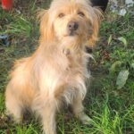 619033840 1285563266934818 4684812703224186892 n