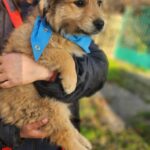 619311536 1284757027015442 1471251237536956350 n