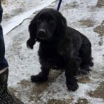 619332341 1284916306999514 5799432602018122191 n