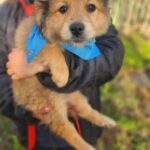 619338460 1284756933682118 6256503279199683874 n