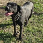 585774571 1242523531238792 4880985404074988431 n