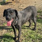 586563122 1242523517905460 844397130069413568 n