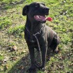 587401181 1242523617905450 4413969793679311346 n