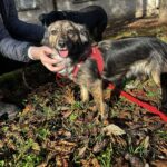 601857089 1263466732477805 5220827219824187580 n