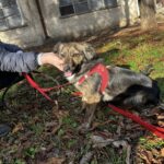 604530658 1263466762477802 9219329926281155387 n