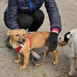 612671054 1274852918005853 3681563526680426873 n