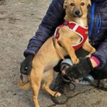 612797357 1274852871339191 5666292013853154621 n