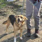 614856950 1278500164307795 2208756282145149629 n