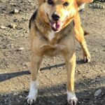 615060762 1278500037641141 6122160285773035987 n