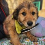 615075096 1279216020902876 3111913530398469941 n