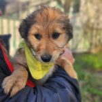 615109097 1279216150902863 4061347235567376347 n