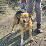 615150646 1278500427641102 3473476635989225356 n