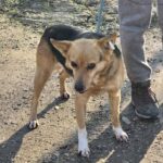 615203745 1278500237641121 1706292760222935898 n