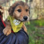 615322229 1279216104236201 3192388443796501481 n