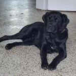 615370810 1278066121017866 7714099293765151332 n