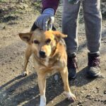 615386614 1278500360974442 523146351828106392 n