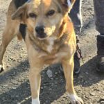 615390693 1278500277641117 6856482562417528131 n