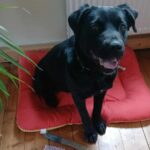 615426281 1278066274351184 2161328768282623986 n