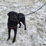 615433142 1278066277684517 7971346129590461434 n