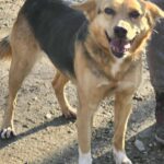 615485160 1278500197641125 781865028038354361 n