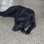 615716402 1278066124351199 8610070699413120711 n