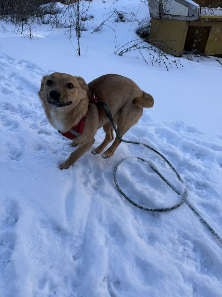 615816284 1283713300453148 4377930737709808271 n