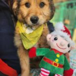 615856985 1279216064236205 5308425786023850242 n