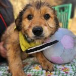 615877467 1279215967569548 6292146465313916432 n