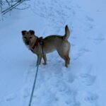 615964199 1283712637119881 2394008853594579743 n