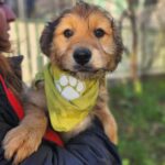 616027840 1279215917569553 2605819819031809880 n