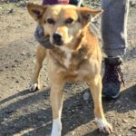 616049198 1278500330974445 4682525473696845136 n