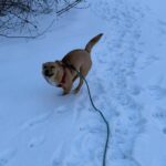 616069810 1283712853786526 7975161910056782760 n