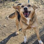 616118162 1278500084307803 7702097665410822126 n