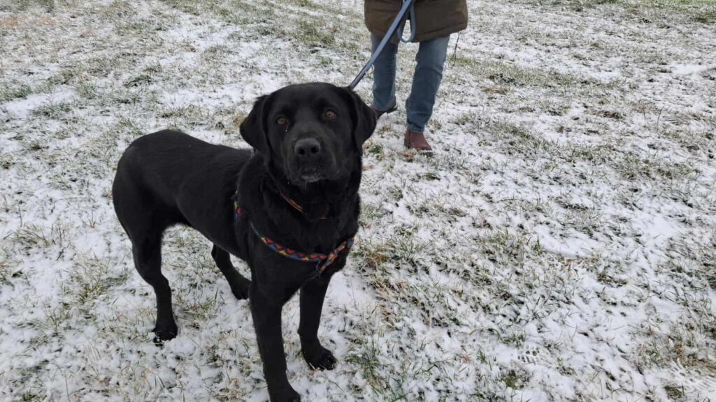 616268877 1278066201017858 6466895866716484179 n