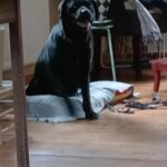 616273261 1278066184351193 4118425979097411831 n