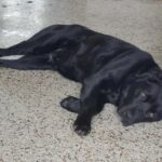 616331804 1278066187684526 1520758350237866490 n