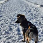 623204238 1294097786081366 5144051829430092253 n