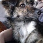 623400512 1294097319414746 7930510057135205739 n