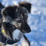 623672362 1294097456081399 76943724697902632 n