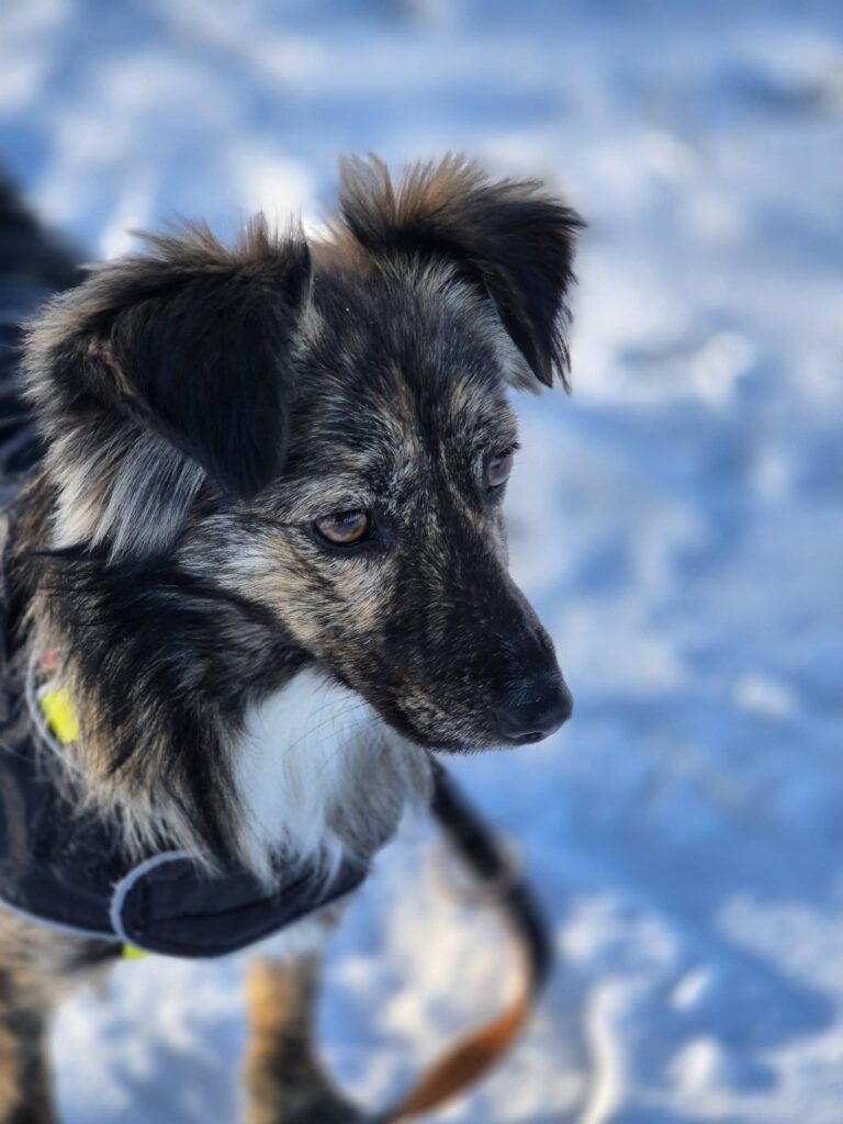 623672362 1294097456081399 76943724697902632 n