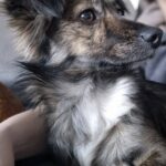 623785612 1294097362748075 1679474276018182860 n